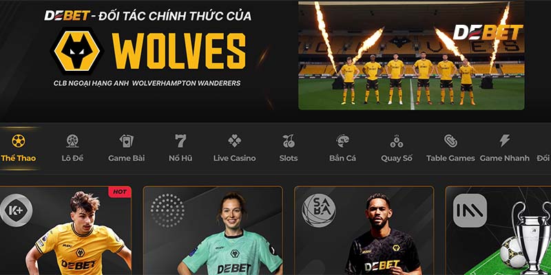 Tóm tắt một số thông tin về Đá Gà Debet.