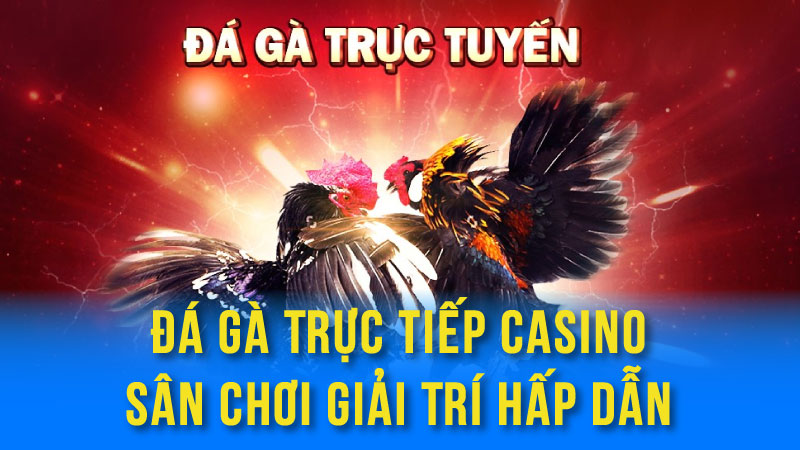 da ga truc tiep casino 01