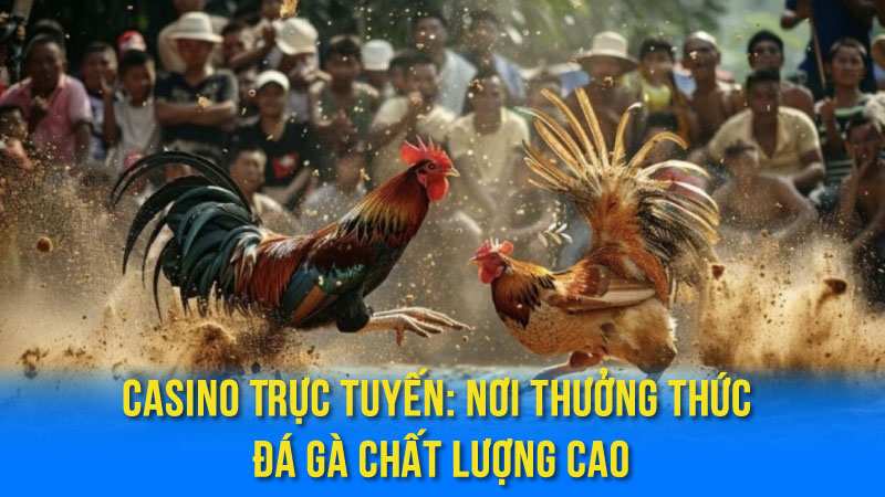 Casino Trực Tuyến: Nơi Thưởng Thức Đá Gà Chất Lượng Cao