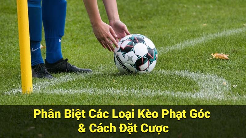 Phân Biệt Các Loại Kèo Phạt Góc & Cách Đặt Cược