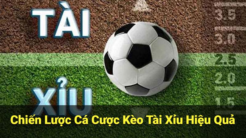Chiến Lược Cá Cược Kèo Tài Xỉu Hiệu Quả