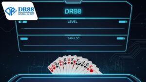 game-bai-truc-tuyen-co-nhieu-cap-do-choi-dr88